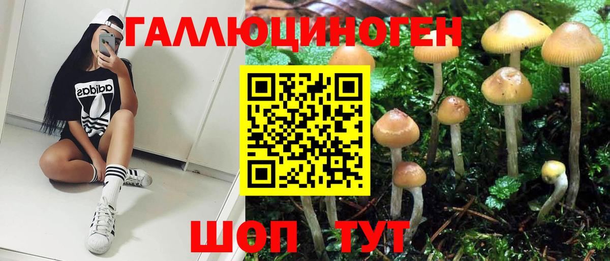 Галлюциногенные грибы мицелий Калининград